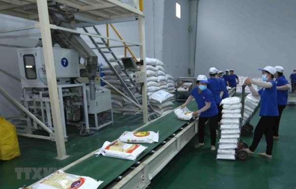 Dịch vụ gia công đóng gói gạo